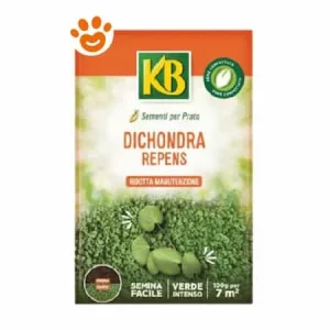 KB Evergreen Dichondra Repens