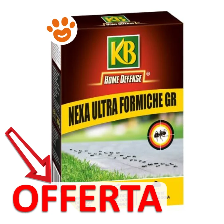KB Nexa Ultra Formiche - Image 2