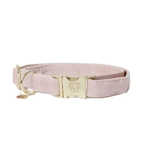 Kentucky - Collare per cani Velvet Rosa Antico