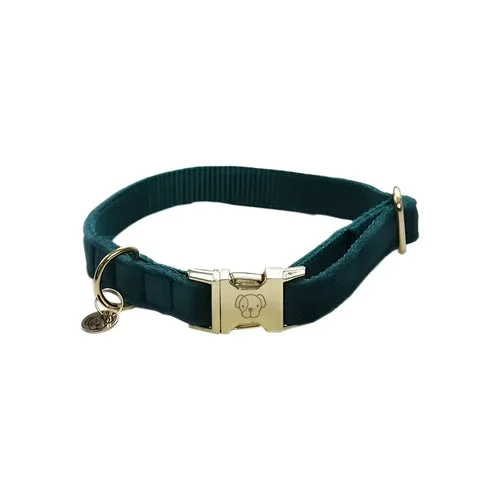 Kentucky - Collare per cani Velvet Smeraldo
