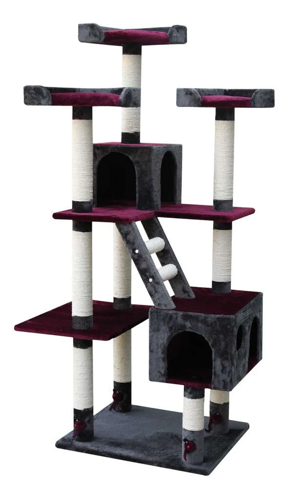 L'ALBERO DEL GATTO DI ORLANDO