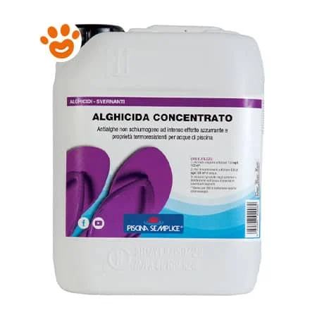 Lapi Piscina Semplice – Alghicida CONCENTRATO – Antialghe