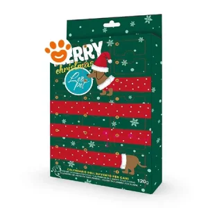 Leopet Dog Calendario dell’Avvento Cartoon