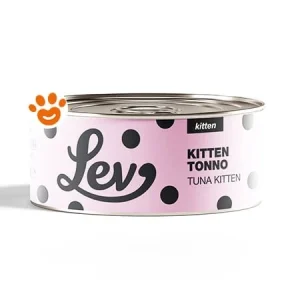 Lev Cat Kitten Tonno