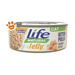 Life Cat Jelly Kitten Pollo