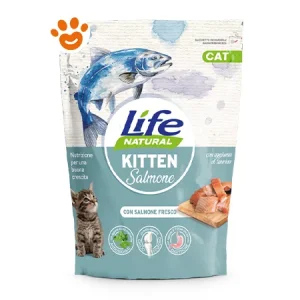 Life Cat Kitten Salmone