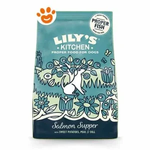 Lily’s Kitchen Dog Adult al Salmone