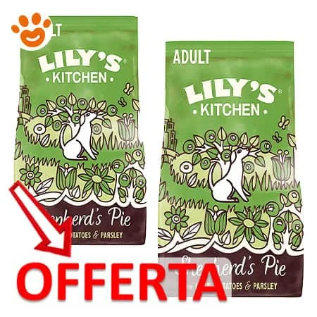 Lily’s Kitchen Dog Adult all’Agnello - Image 2