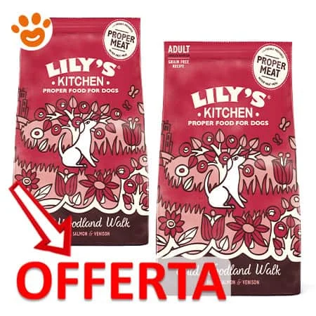 Lily’s Kitchen Dog Adult all’Anatra e Salmone - Image 2