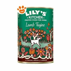 Lily’s Kitchen Dog Adult Lamb Hotspot Agnello