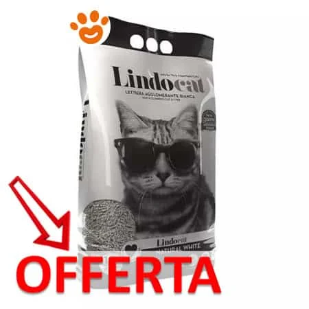 Lindocat Cat Lettiera Natural White - Image 2