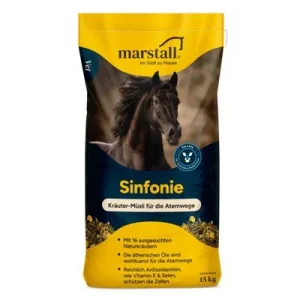Marstall Sinfonia