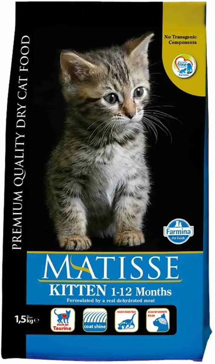 MATISSE CAT KG 1,5 KITTEN