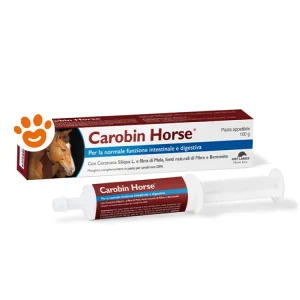 NBF Lanes Carobin Horse Pasta