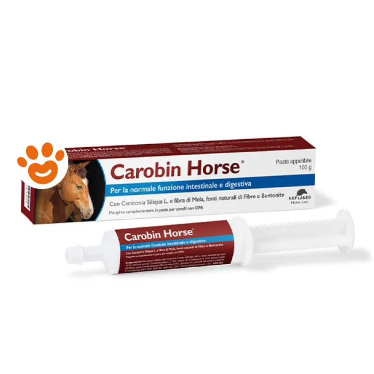 NBF Lanes Carobin Horse Pasta