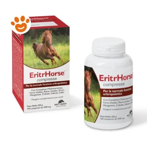 NBF Lanes Horse Eritrhorse
