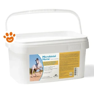 NBF Lanes Horse Microbiotal