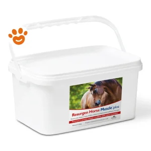 NBF Lanes Horse Resurgen Muscle Plus