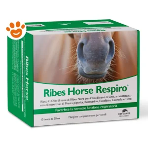 NBF Lanes Horse Ribes Respiro