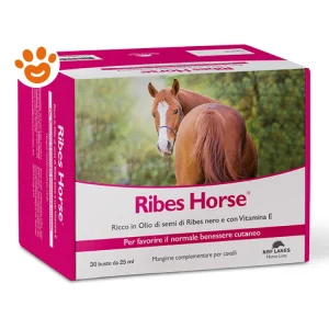 NBF Lanes Ribes Horse