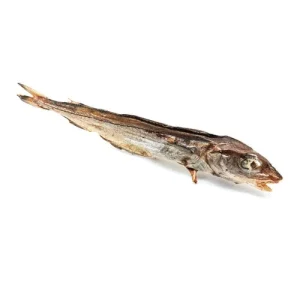 Niki Natural Barf Fish: snack per cane con merlano essiccato