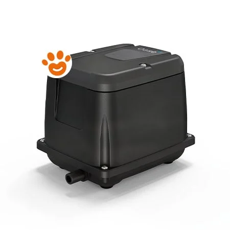 Oase Aquaoxy 5000 Ossigenatore Per Laghetti
