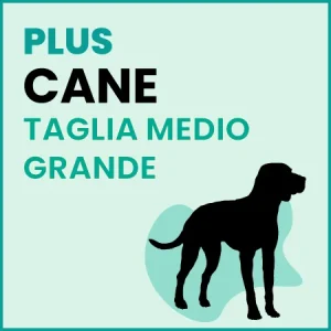 Omaggio Cane Taglia Medio Grande – PLUS