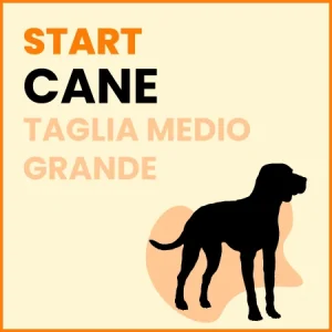 Omaggio Cane Taglia Medio Grande – START