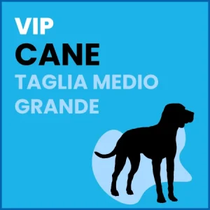 Omaggio Cane Taglia Medio Grande – VIP