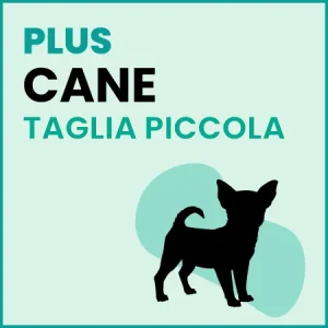 Omaggio Cane Taglia Piccola – PLUS