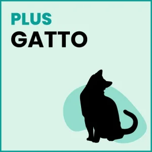 Omaggio Gatto – PLUS