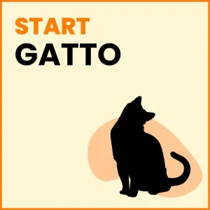 Omaggio Gatto – START