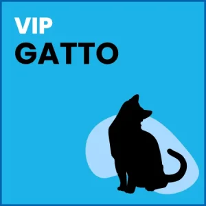 Omaggio Gatto – VIP