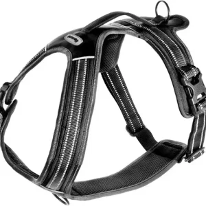 Pettorina per Cani ad H | Modello Alpi M