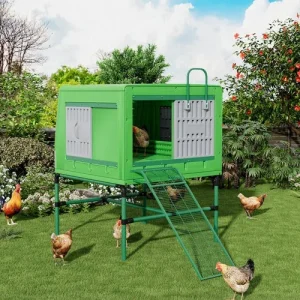 Pollaio In Plastica Orpington