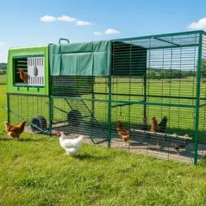 Pollaio in plastica Orpington XXL