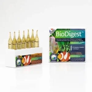 Prodibio Biodigest 12 fiale