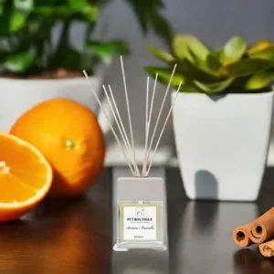Profumo d'ambiente - Pet Friendly Cannella &amp; Arancio