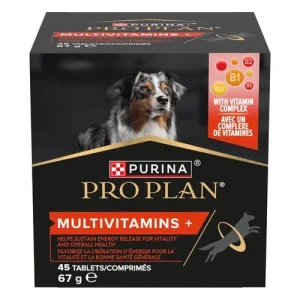 PURINA Cane Supplements Multivitamin 67gr