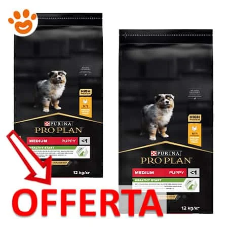 Purina Dog Pro Plan Healty Start Puppy Medium Pollo - Image 2