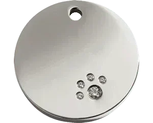REDDINGO Medaglia in Acciaio Inossidabile Lucido Swarovski Diamante Circle