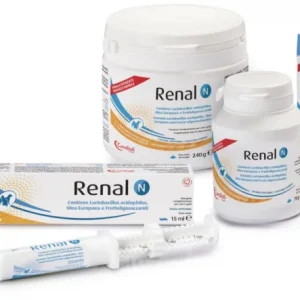 Renal N Candioli