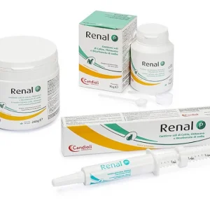 Renal P Candioli