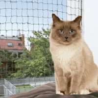 RETE DI SICUREZZA per Gatti