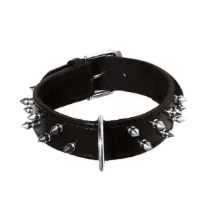 Rock Attitude: collare per cani Bobby