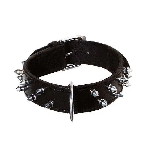 Rock Attitude: collare per cani Bobby
