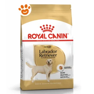 Royal Canin BHN Dog Adult Labrador Retriever