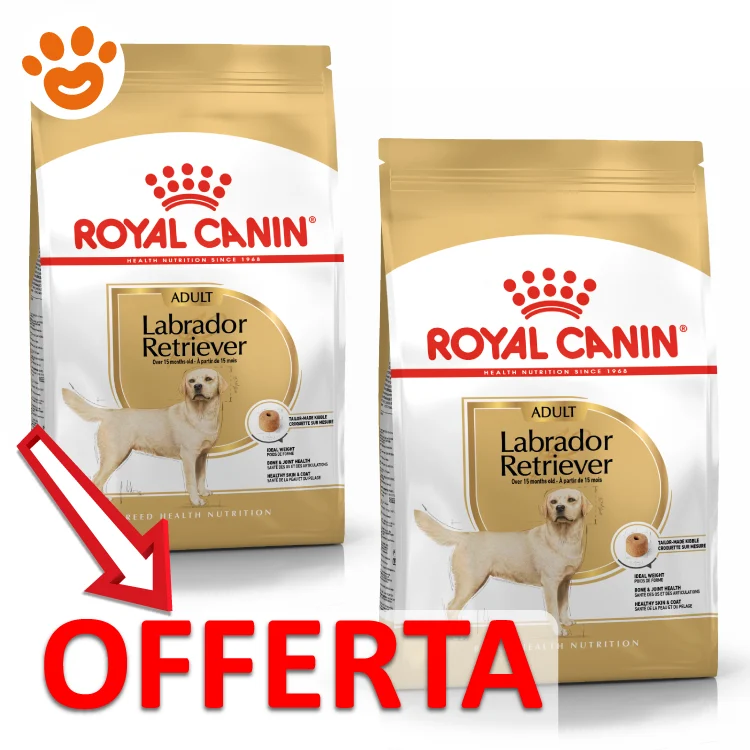 Royal Canin BHN Dog Adult Labrador Retriever - Image 2