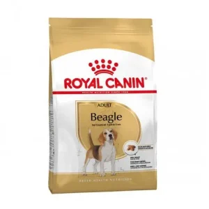 Royal Canin Cane Breed Beagle Adult