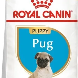 Royal Canin Cane Breed Carlino Puppy